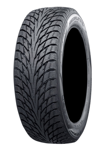 Nokian Hakkapeliitta R2